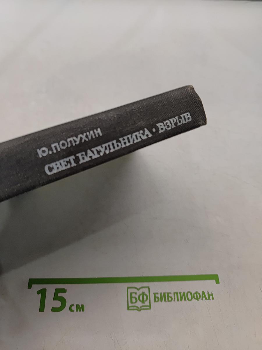 Свет багульника. Взрыв