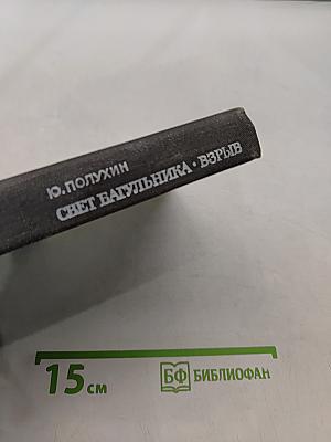 Свет багульника. Взрыв