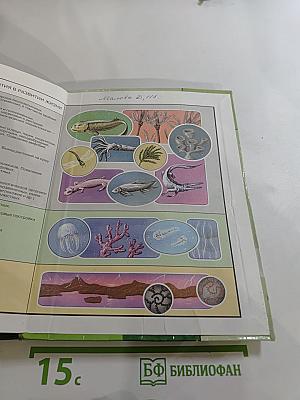 Биология. Общая биология. 10-11 классы. Часть 1