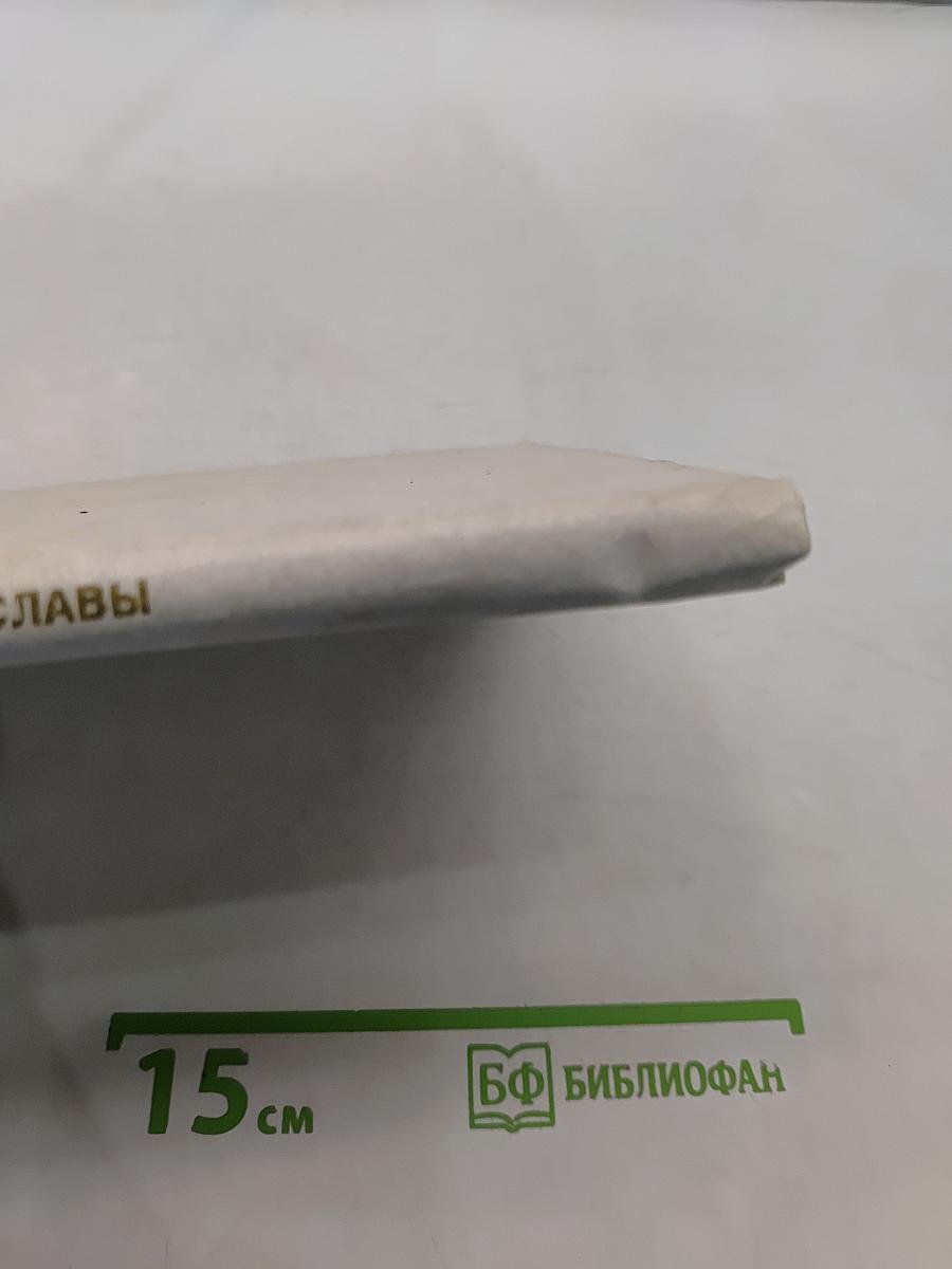 Зеленый пояс славы