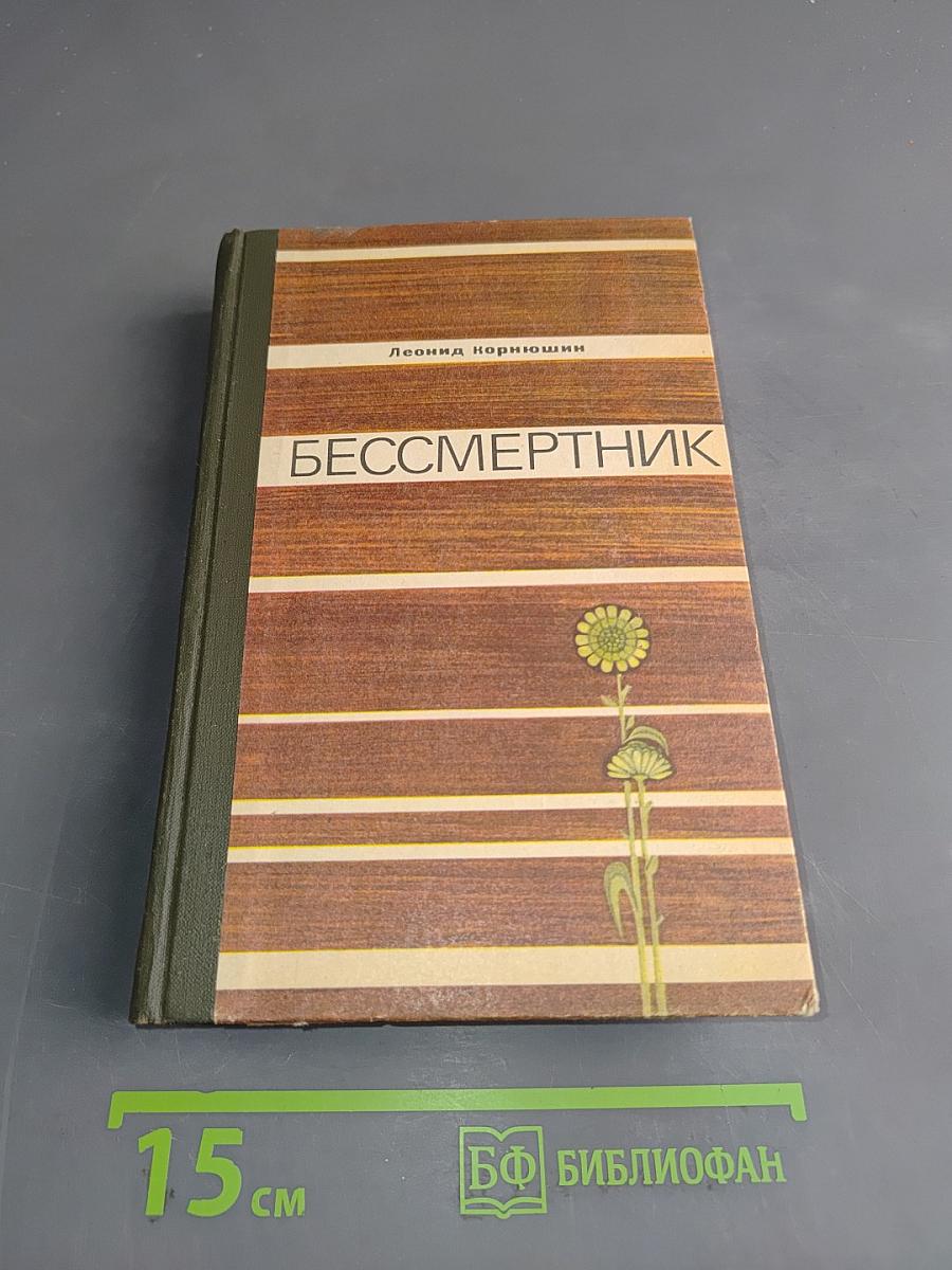 Бессмертник