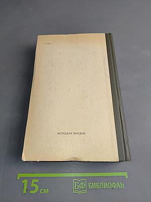 Бессмертник