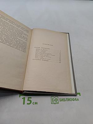 Фальшивые червонцы