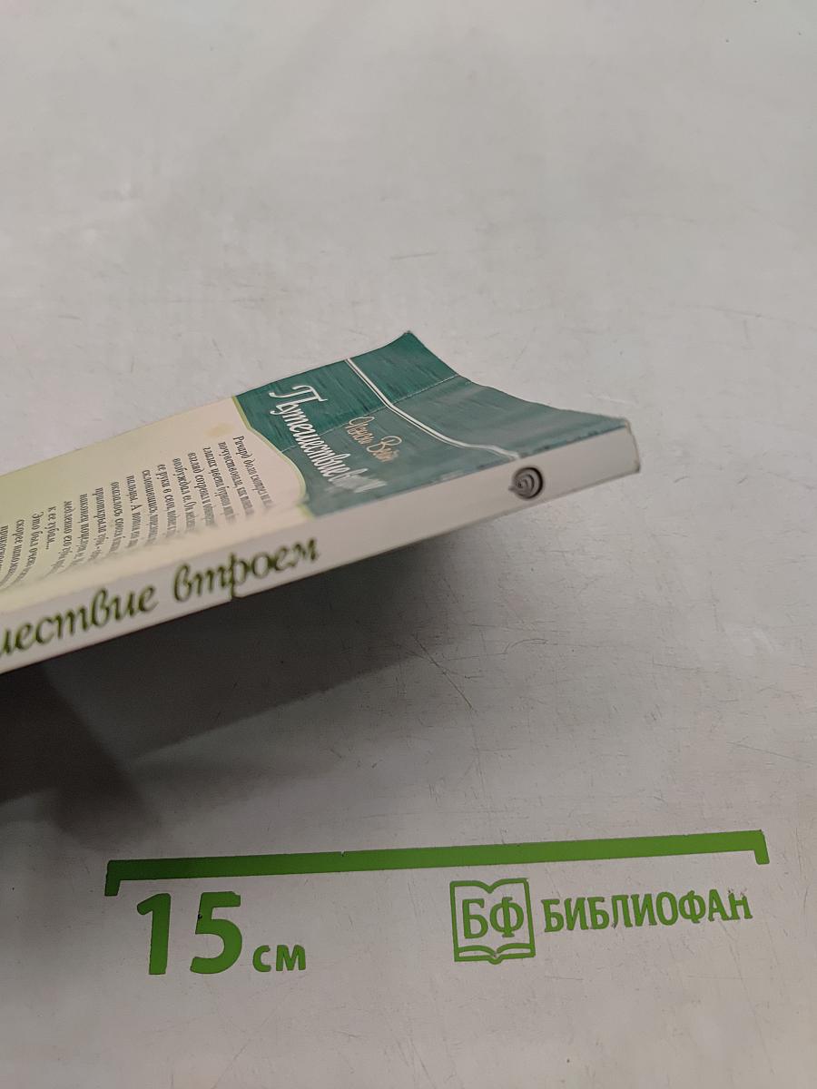 Путешествие втроем