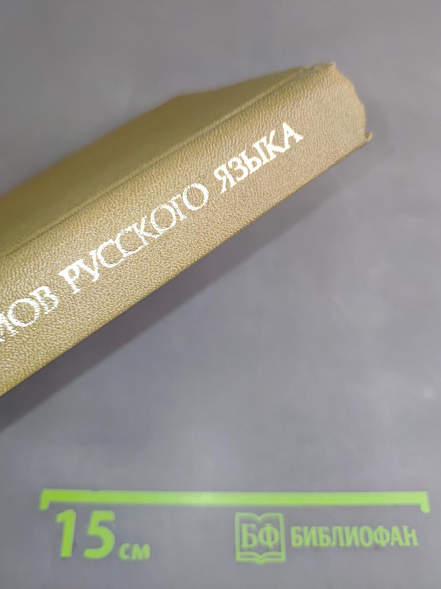 Словарь омонимов русского языка