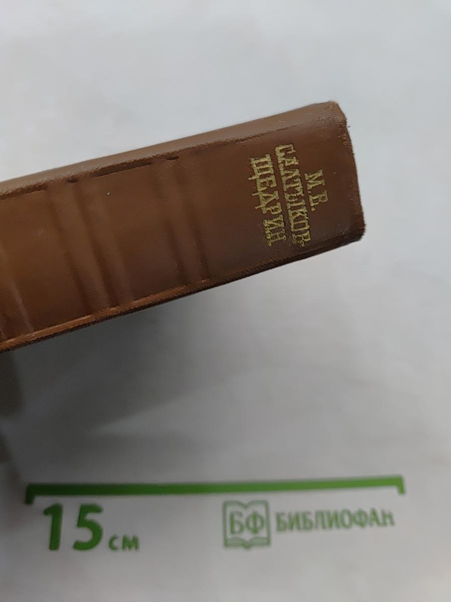 Собрание сочинений. Том десятый. Критика и публицистика (1905-1902)