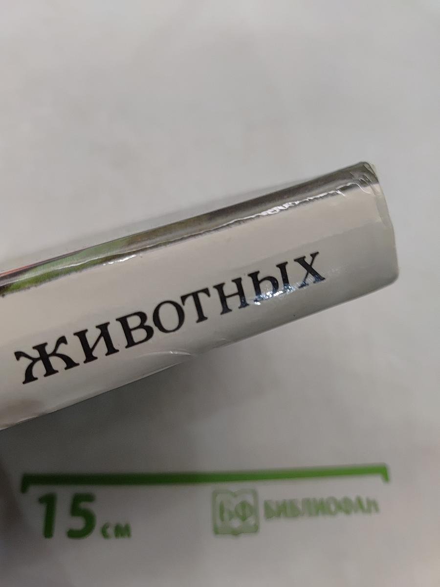 Приключения животных