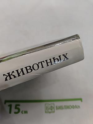 Приключения животных