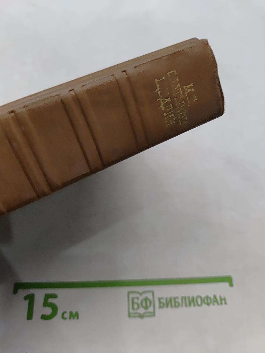Собрание сочинений. Том одиннадцатый. Благонамеренные речи 1872-1876