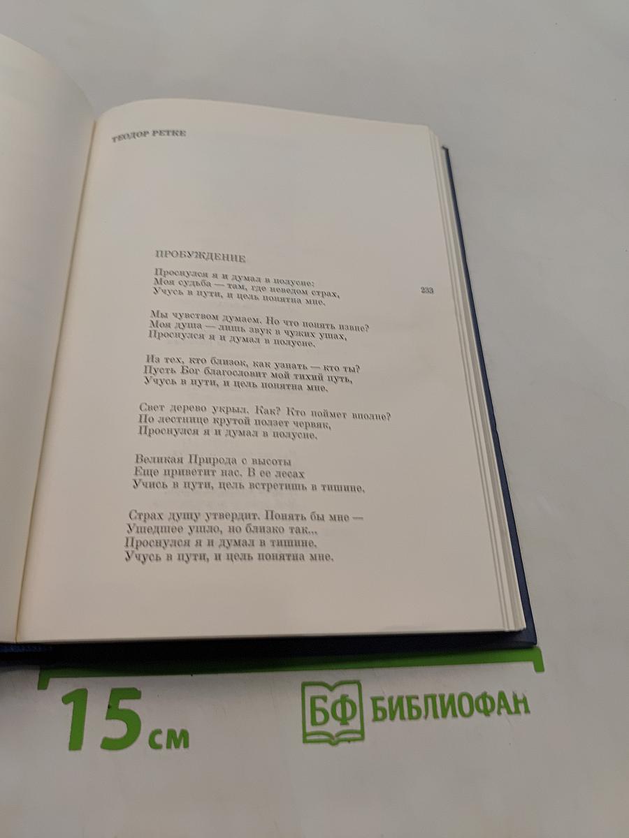 Современная американская поэзия
