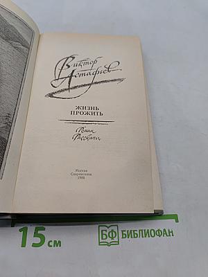 Жизнь прожить