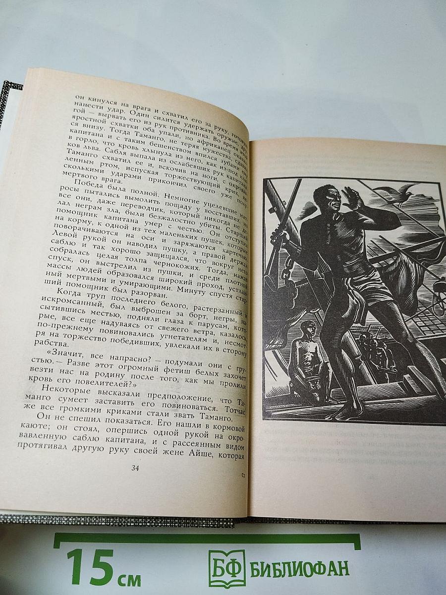 Избранное: Новеллы, Хроника царствования Карла IX