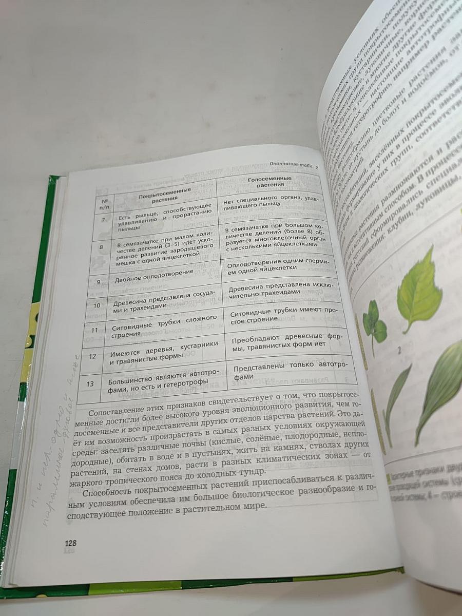 Биология 6 класс