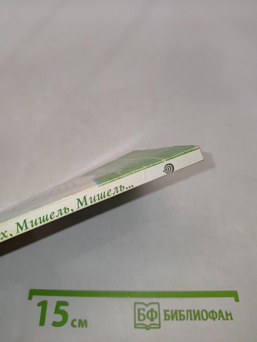 Ах, Мишель, Мишель!