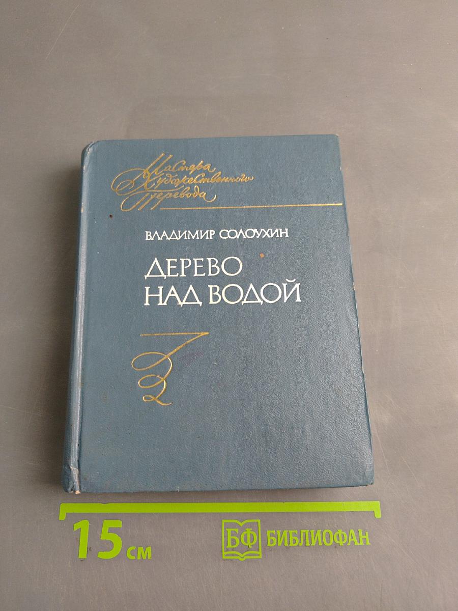 Дерево над водой