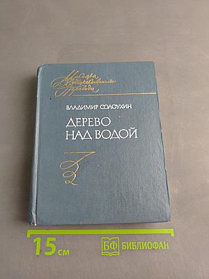 Дерево над водой
