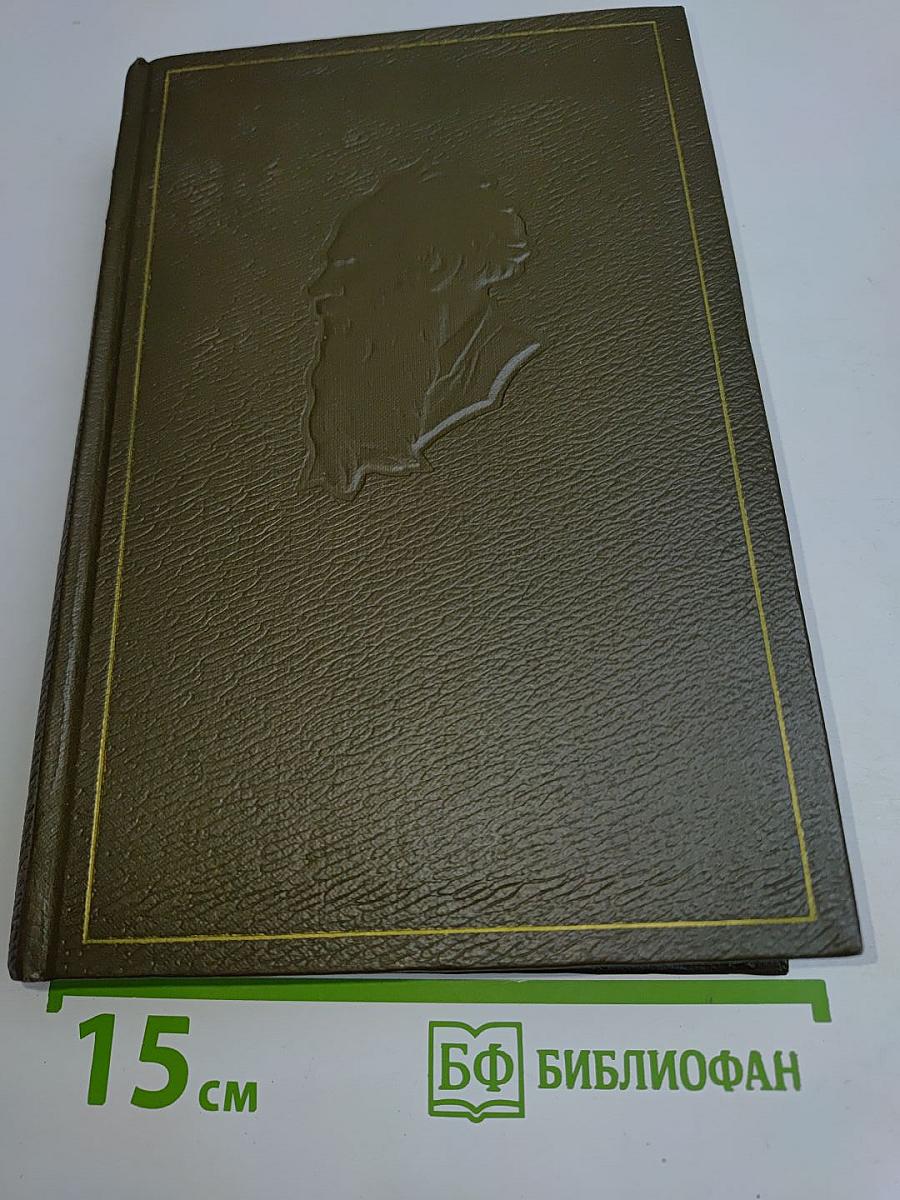 Собрание сочинений. Том семнадцатый. Письма 1845-1886 гг.