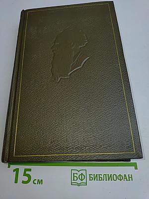 Собрание сочинений. Том семнадцатый. Письма 1845-1886 гг.