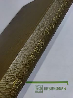 Собрание сочинений. Том семнадцатый. Письма 1845-1886 гг.