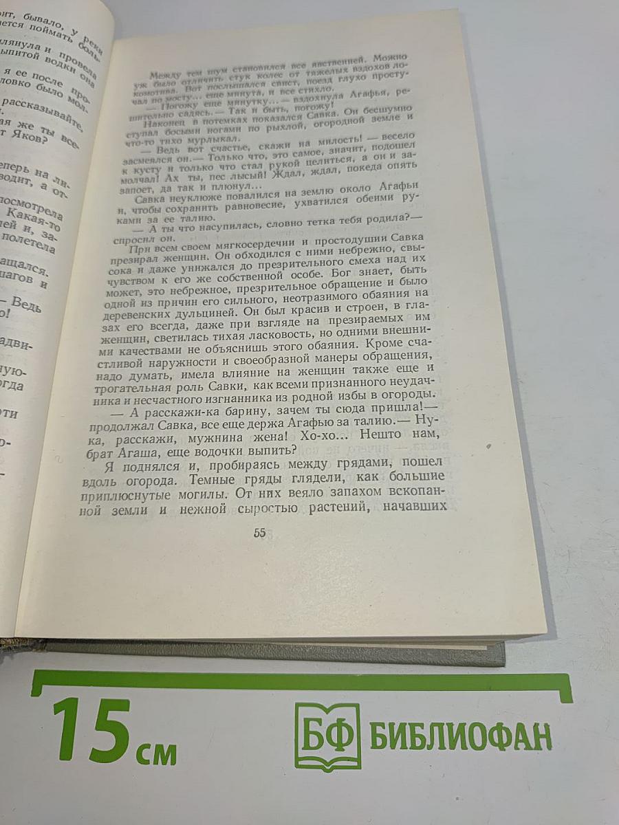 Собрание сочинений. Том четвертый. Рассказы 1886
