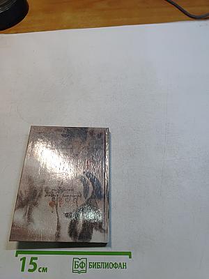 Возвращение домой