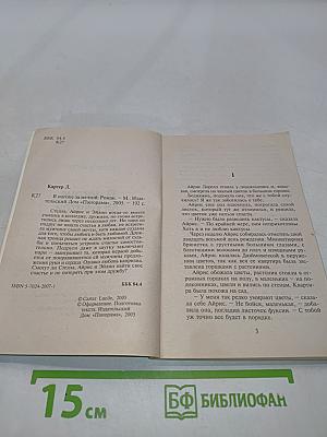 В погоне за мечтой