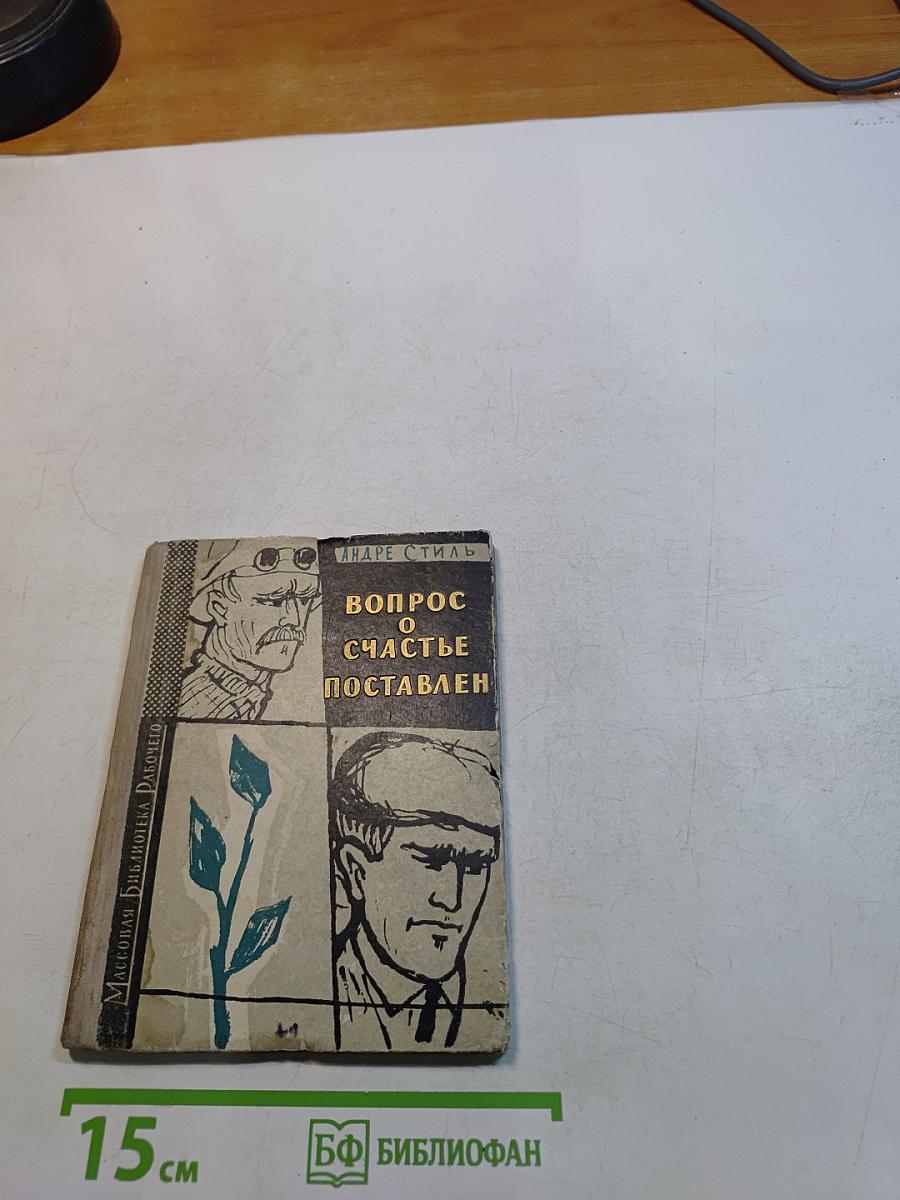 Вопрос о счастье поставлен