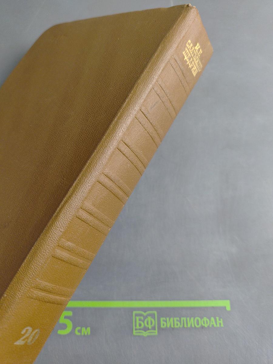 Собрание сочинений. Том двадцатый. Письма (1881-1889)