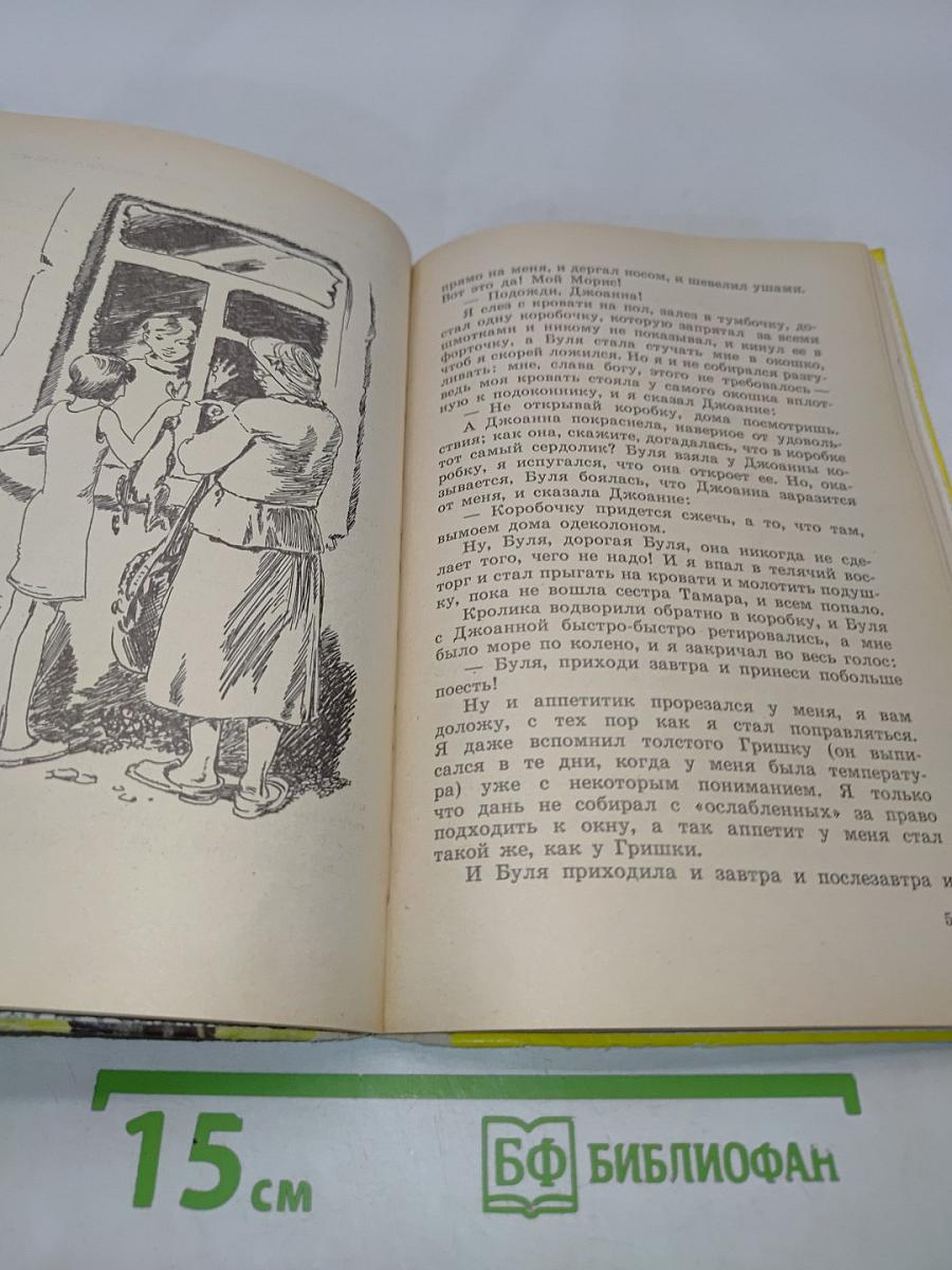 Новые земли Александра Кубова