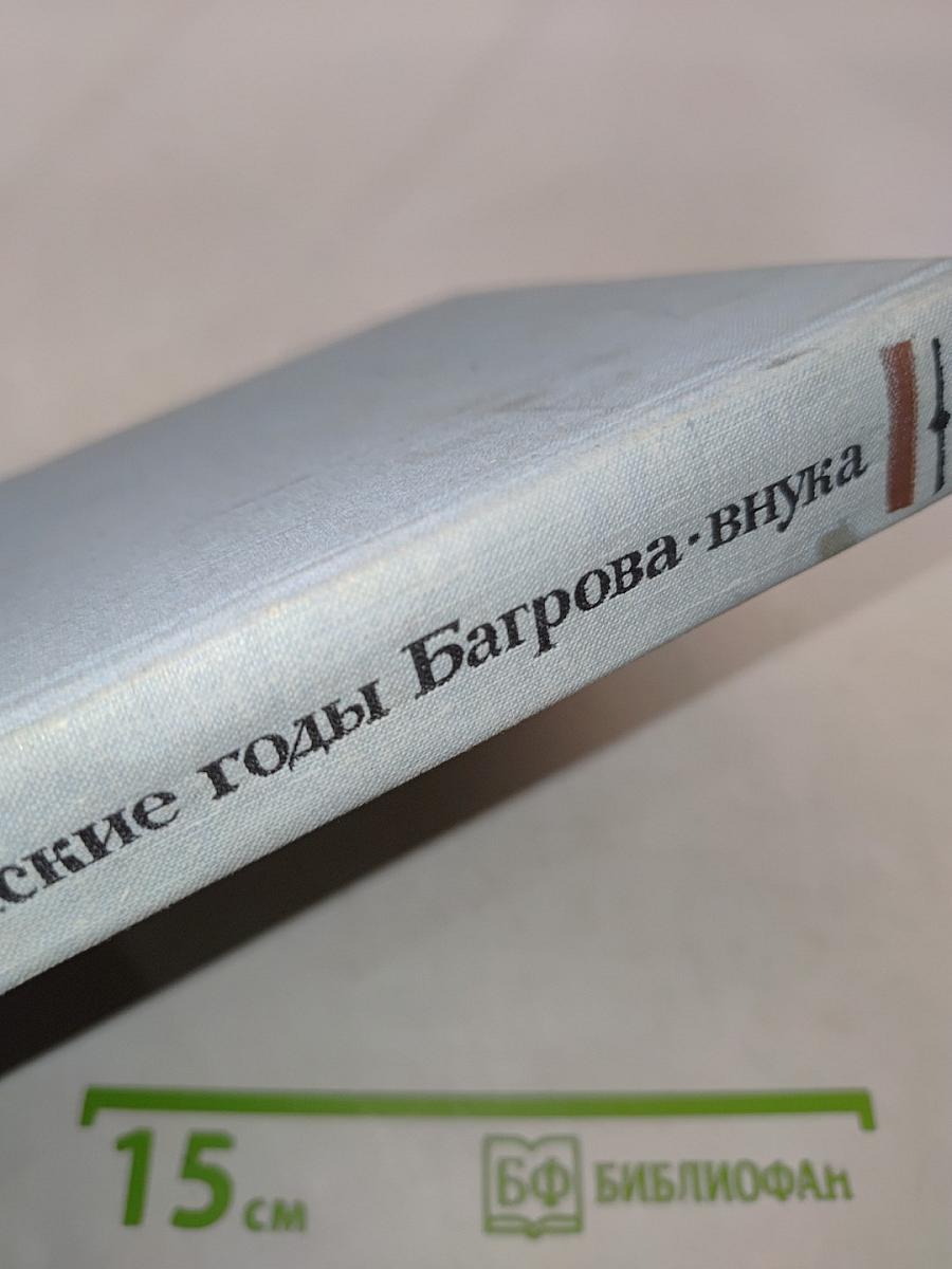 Детские годы Багрова-внука, служащие продолжением семейной хроники
