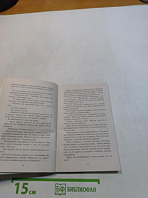 Зимняя сказка в Венеции