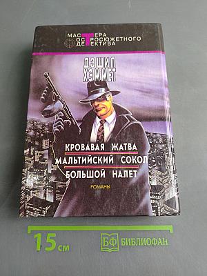 Большой налет