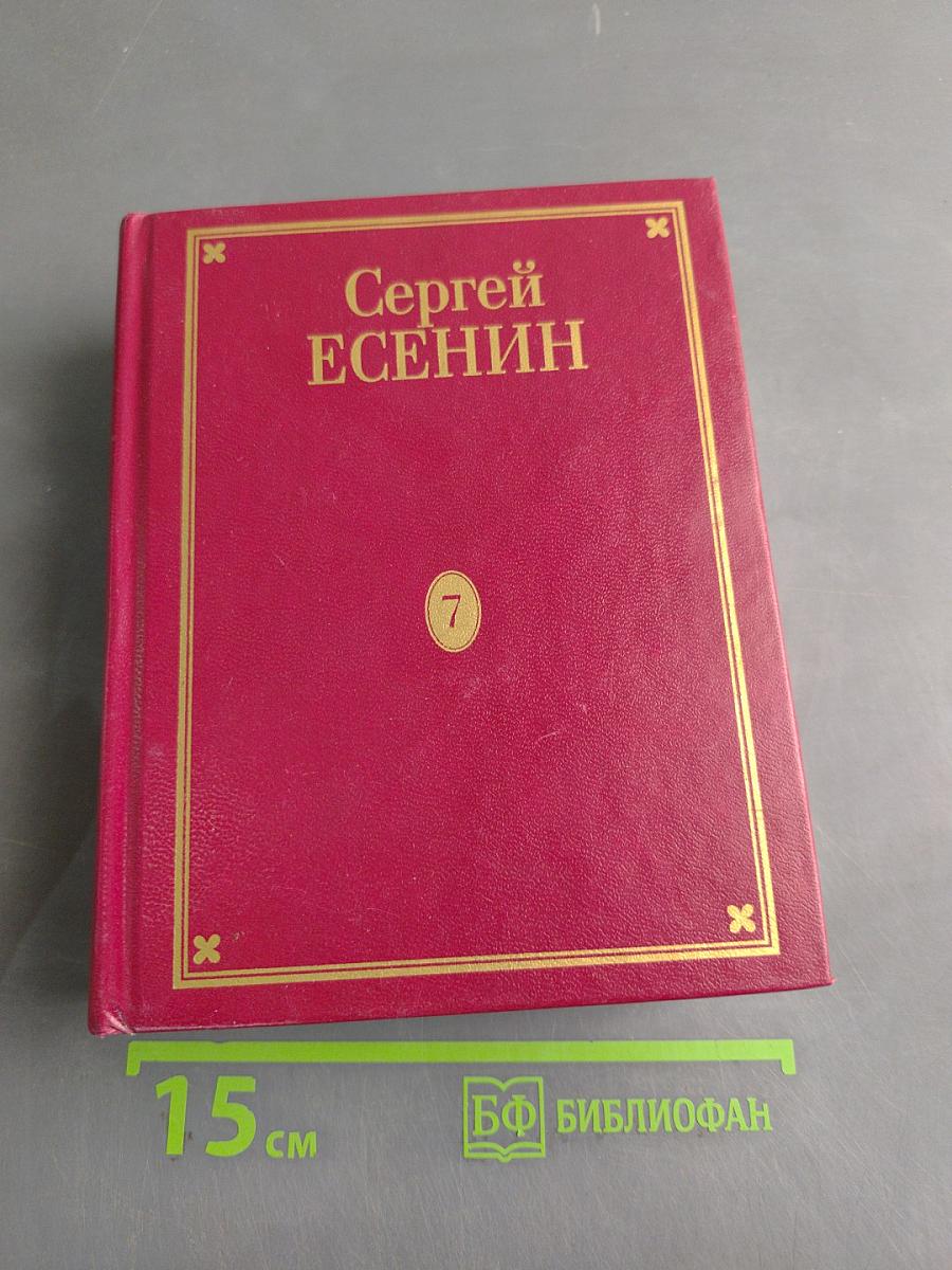 Полное собрание сочинений. Том седьмой. Книга третья