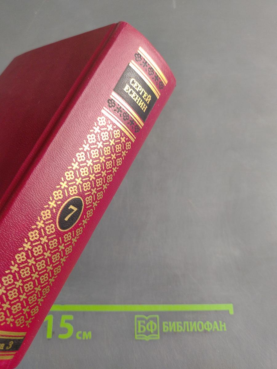 Полное собрание сочинений. Том седьмой. Книга третья