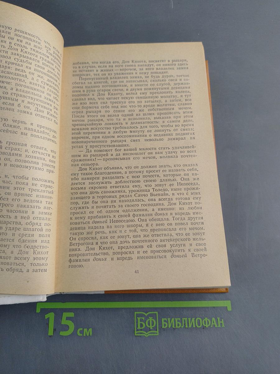 Дон Кихот Ламанчский. Часть первая