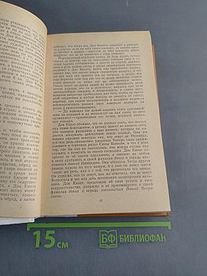 Дон Кихот Ламанчский. Часть первая