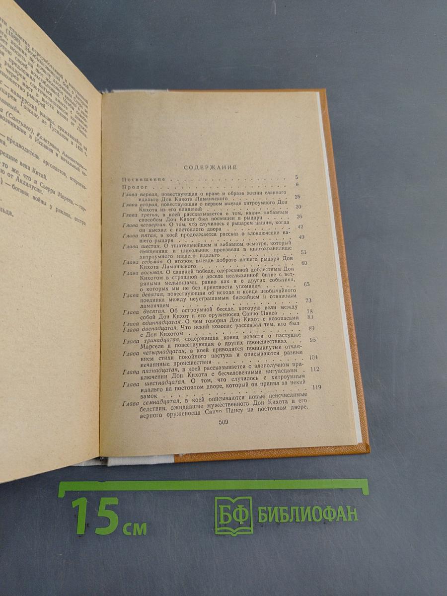 Дон Кихот Ламанчский. Часть первая