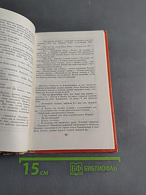 Степные рыцари