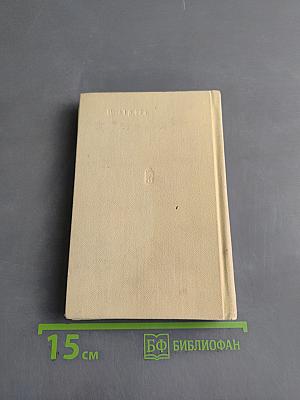 Клинок и роза