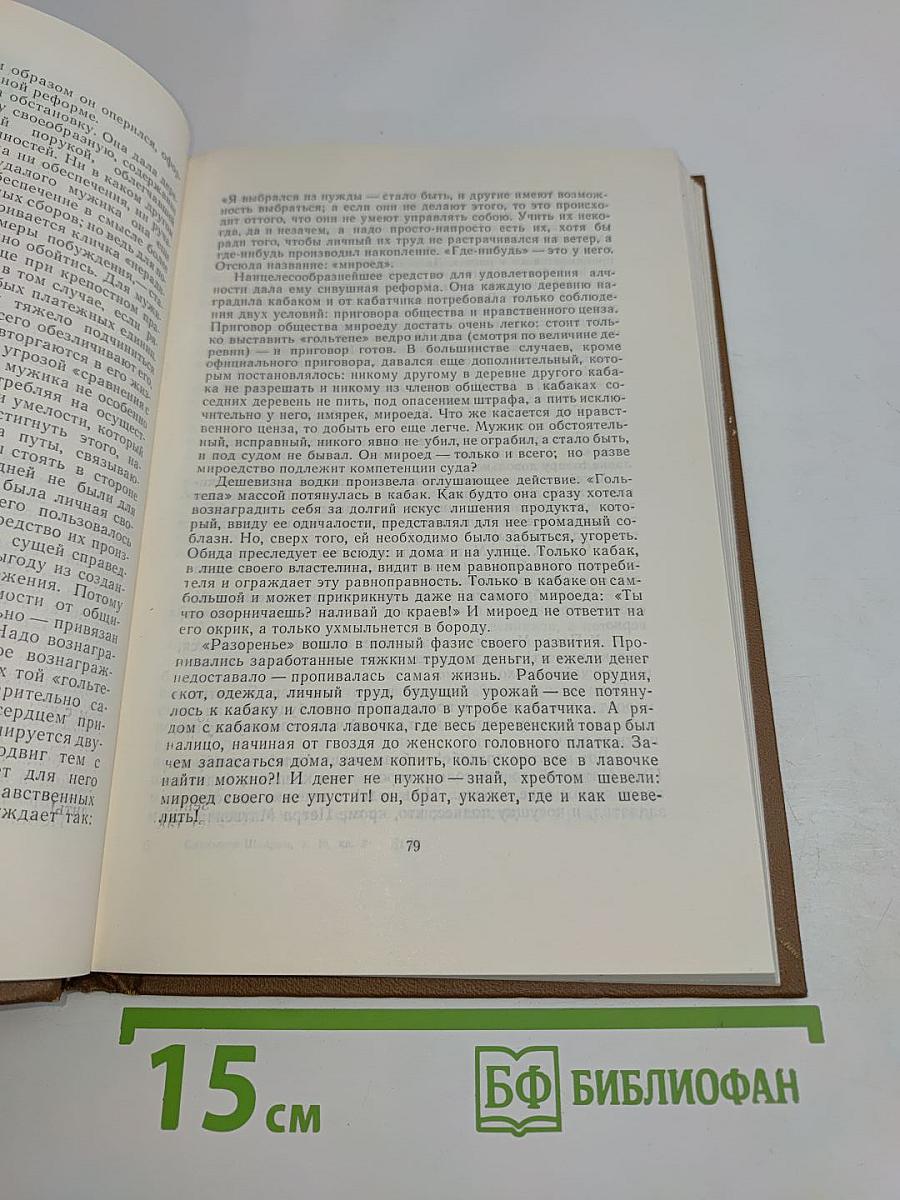 Собрание сочинений. Том шестнадцатый. Книга вторая. Мелочи жизни 1886-1887