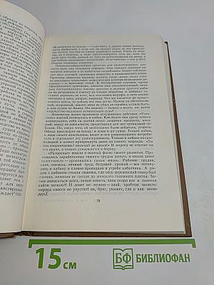 Собрание сочинений. Том шестнадцатый. Книга вторая. Мелочи жизни 1886-1887