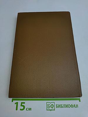 Собрание сочинений. Том шестнадцатый. Книга вторая. Мелочи жизни 1886-1887