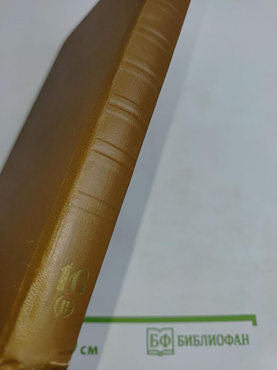 Собрание сочинений. Том шестнадцатый. Книга вторая. Мелочи жизни 1886-1887