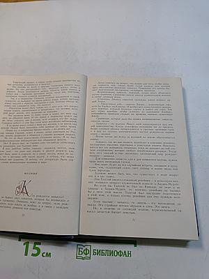 Избранные произведения. Том второй. Золотая роза. Повесть. Рассказы