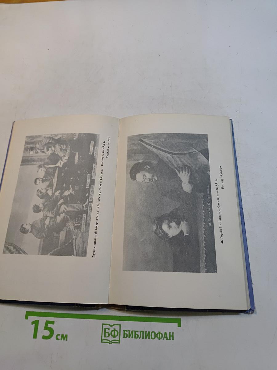 Рассказы литературоведа