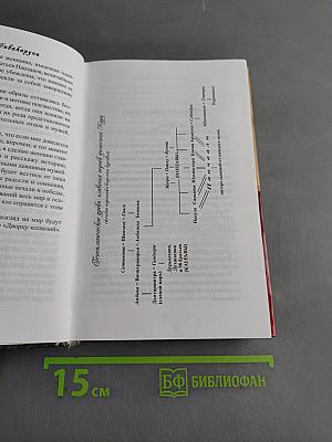 Дворец иллюзий