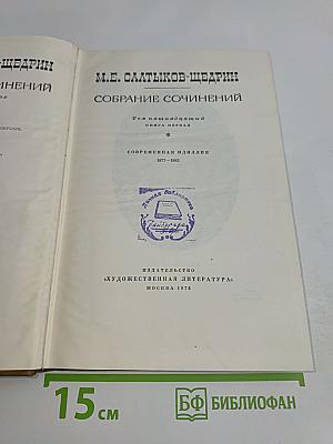 Собрание сочинений. Книга первая. Современная идиллия