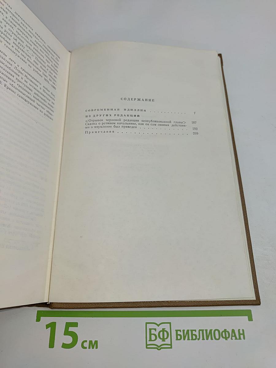 Собрание сочинений. Книга первая. Современная идиллия