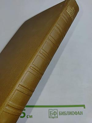 Собрание сочинений. Книга первая. Современная идиллия