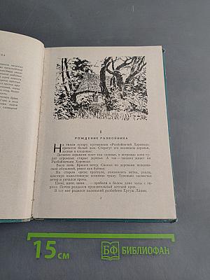 Юность разбойника